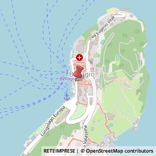 Mappa Piazza Giuseppe Mazzini, 2, 22021 Bellagio, Como (Lombardia)