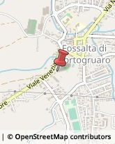 Viale Venezia, 17/A,30025Fossalta di Portogruaro