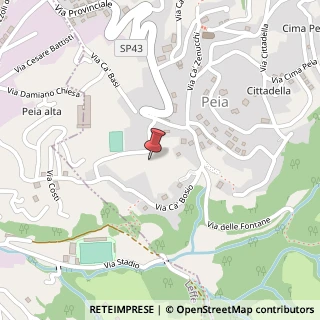 Mappa Via Campo Sportivo, 8B, 24020 Peia, Bergamo (Lombardia)