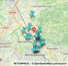 Mappa Via Brigata Reggio, 31044 Montebelluna TV, Italia (1.501)