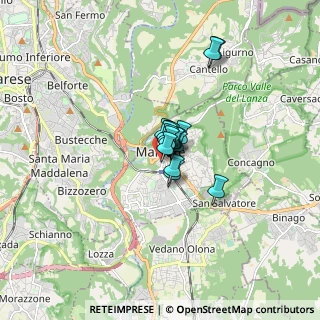 Mappa Via Achille Grandi, 21046 Malnate VA, Italia (0.70938)