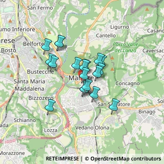 Mappa Via G. Matteotti, 21046 Malnate VA, Italia (1.22474)