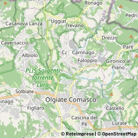 Mappa Olgiate Comasco