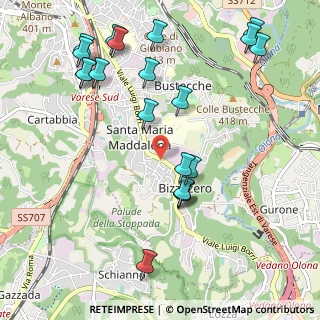Mappa Viale Borri Luigi, 21100 Varese VA, Italia (1.199)