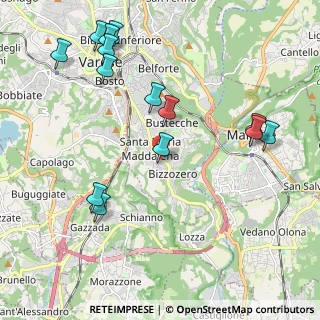 Mappa Viale Borri Luigi, 21100 Varese VA, Italia (2.39429)