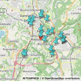Mappa Viale Borri Luigi, 21100 Varese VA, Italia (1.771)
