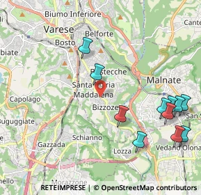 Mappa Viale Borri Luigi, 21100 Varese VA, Italia (2.44545)