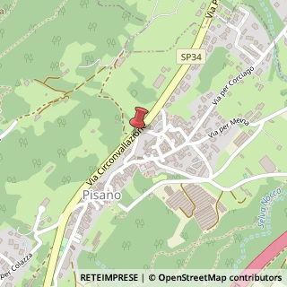 Mappa Via circonvallazione 9, 28010 Pisano, Novara (Piemonte)