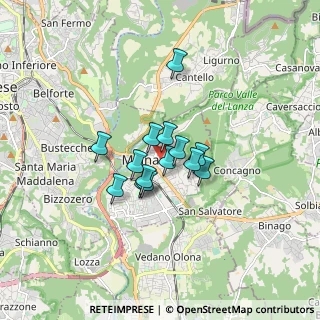 Mappa Vicolo Ronchi, 21046 Malnate VA, Italia (1.04071)