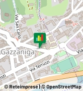Via Guglielmo Marconi, 20,24025Gazzaniga