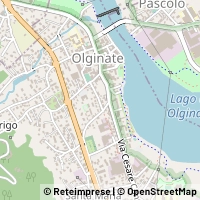 नक्शा Olginate