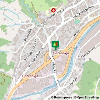 Via Pasubio, 22,24025Gazzaniga