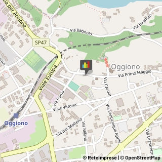 Officine Meccaniche Oggiono,23848Lecco