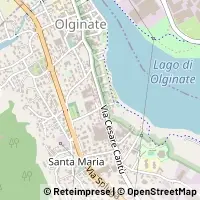 Map Olginate