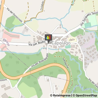 Locali, Birrerie e Pub,21100Varese