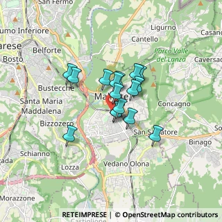 Mappa Malnate, 21046 Malnate VA, Italia (1.07688)