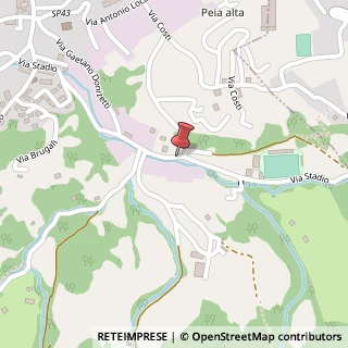 Mappa Via Stadio, 22, 24026 Leffe, Bergamo (Lombardia)