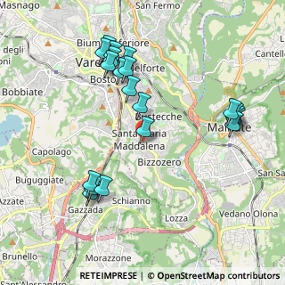 Mappa Via Jacopino da Tradate, 21100 Varese VA, Italia (2.138)