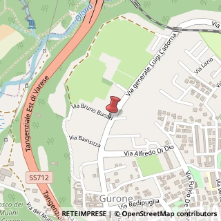 Mappa Via Ravina General, 8, 21046 Malnate, Varese (Lombardia)