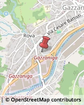 Via Pasubio, 22,24025Gazzaniga