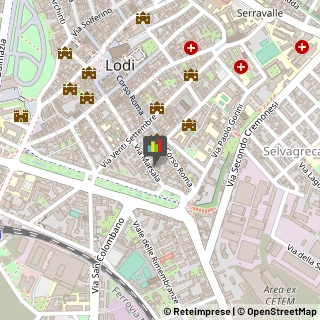 Articoli per Ortopedia Lodi,26900Lodi