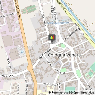 Locali, Birrerie e Pub,37044Verona