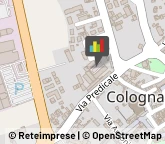 Estetiste Cologna Veneta,37044Verona