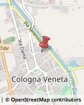 Via Roveggio, 6,37044Cologna Veneta