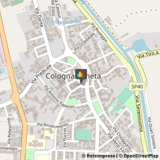 Dermatologia - Medici Specialisti,37044Verona