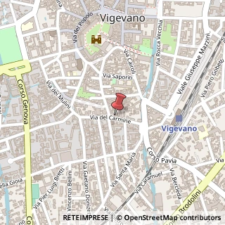 Mappa Via del Carmine, 21, 27029 Vigevano, Pavia (Lombardia)
