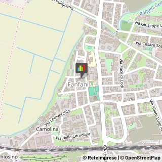 Animali Domestici - Vendita Lodi,26900Lodi