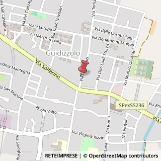 Mappa Via Fabio Filzi, 31, 46040 Guidizzolo, Mantova (Lombardia)