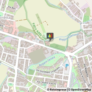 Animali Domestici - Vendita Lodi,26900Lodi