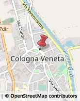 Via Cavour, 60,37044Cologna Veneta