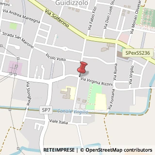 Mappa Via Vittorio Veneto,  77, 46040 Guidizzolo, Mantova (Lombardia)