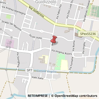 Mappa Via Vittorio Veneto, 97, 46040 Guidizzolo, Mantova (Lombardia)