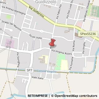 Mappa Via Vittorio Veneto, 111, 46040 Guidizzolo, Mantova (Lombardia)