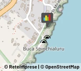 Locali, Birrerie e Pub Tricase,73039Lecce