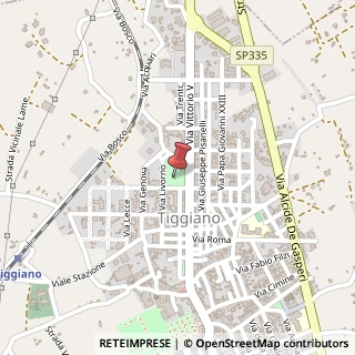 Mappa Via della Libertà, 2, 73030 Tiggiano, Lecce (Puglia)