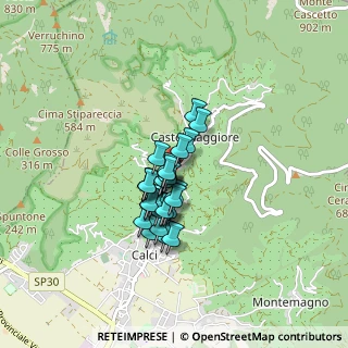 Mappa Via Don Minzoni, 56011 Calci PI, Italia (0.55)