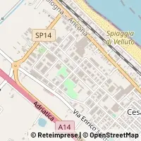 Kart Senigallia