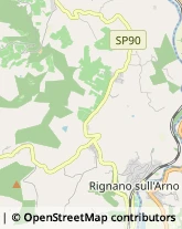 Ristoranti Rignano sull'Arno,50067Firenze