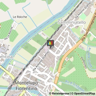 ,50056Firenze