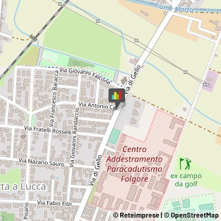 Agenzie ed Uffici Commerciali,56123Pisa
