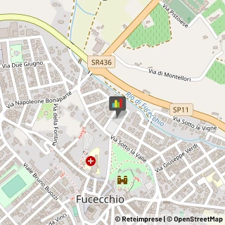 Articoli per Ortopedia Fucecchio,50054Firenze