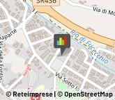 Articoli per Ortopedia,50054Firenze