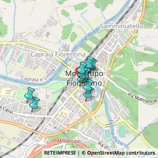 Mappa Via Roma, 50056 Montelupo Fiorentino FI, Italia (0.26364)