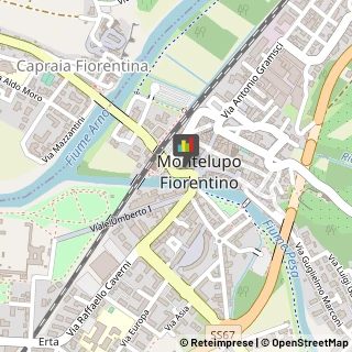 Tipografie Montelupo Fiorentino,50056Firenze