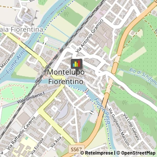 Baby Sitters - Servizio Montelupo Fiorentino,50056Firenze