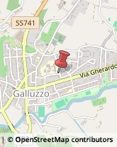 Via Ser Lapo Gavacciani, 1,50125Firenze